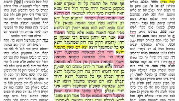 פרטי: [ID: ZYDs7vIkDbE] Youtube Automatic