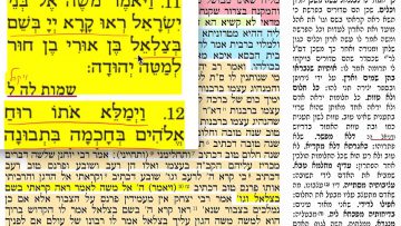 פרטי: [ID: z0frJMncb1k] Youtube Automatic