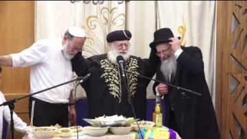 פרטי: [ID: NPaPw07s3sQ] Youtube Automatic
