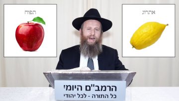 פרטי: [ID: 1SeS47yV_Lc] Youtube Automatic