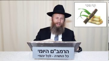פרטי: [ID: edNum39ybqo] Youtube Automatic