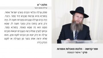 פרטי: [ID: LA4cllADaMU] Youtube Automatic