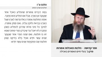 פרטי: [ID: rT7Rl6IfBpE] Youtube Automatic