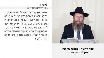 פרטי: [ID: 0ZO-vM15xiQ] Youtube Automatic