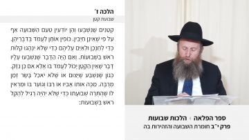 פרטי: [ID: PDPLrMpSi3o] Youtube Automatic