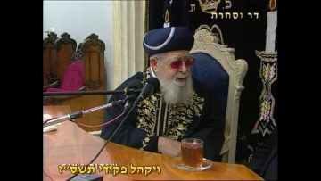 פרטי: [ID: qbY3-5Vfd0E] Youtube Automatic