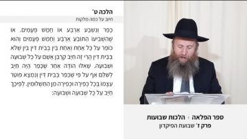 פרטי: [ID: ZilFVO-ByLo] Youtube Automatic