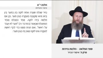 פרטי: [ID: BDMJm1WpzF0] Youtube Automatic
