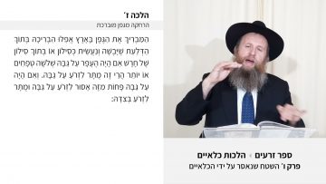 פרטי: [ID: 1I2TMIRX6S8] Youtube Automatic
