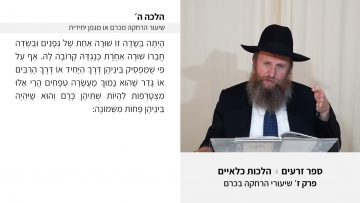 פרטי: [ID: ETv_ydLAP_w] Youtube Automatic