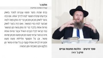 פרטי: [ID: jcJx9pf0KU8] Youtube Automatic