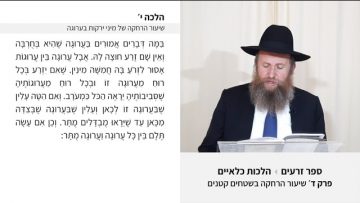 פרטי: [ID: lVvcvWHd7AM] Youtube Automatic