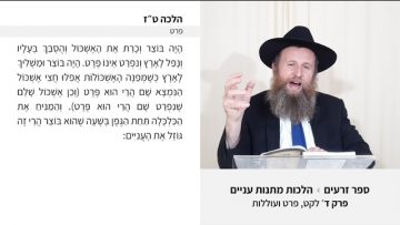 פרטי: [ID: NAeloEBnhfo] Youtube Automatic