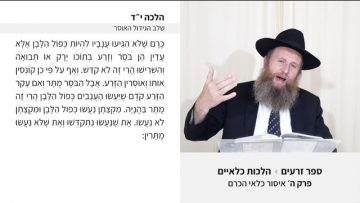 פרטי: [ID: RPOQeiBgU8g] Youtube Automatic