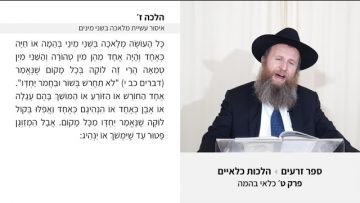 פרטי: [ID: RWz2262oy3w] Youtube Automatic