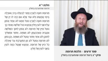 פרטי: [ID: SiAMkKxqg54] Youtube Automatic