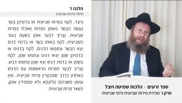 פרטי: [ID: lI92456M8lQ] Youtube Automatic