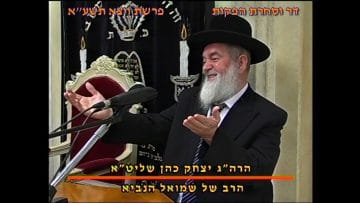 פרטי: [ID: xkic8-4eEyE] Youtube Automatic
