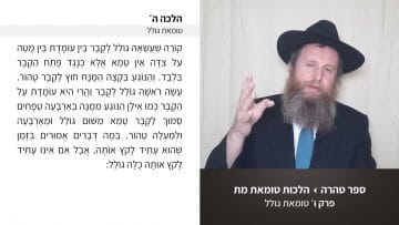 פרטי: [ID: dLnPW-l383U] Youtube Automatic