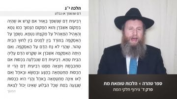 פרטי: [ID: O-1AZKWLZ-A] Youtube Automatic