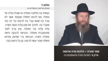 פרטי: [ID: JMHRIL6xu7w] Youtube Automatic