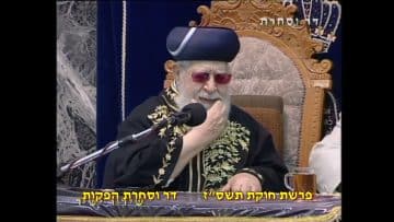 פרטי: [ID: P1pZVXOXztU] Youtube Automatic