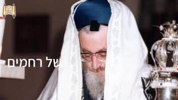 פרטי: [ID: ZXLImq9uOxE] Youtube Automatic