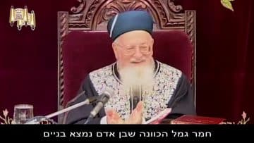פרטי: [ID: KmWOOEfUmy8] Youtube Automatic