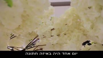 פרטי: [ID: kxR3Gc5R25s] Youtube Automatic