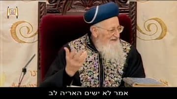 פרטי: [ID: v8672_MIvio] Youtube Automatic