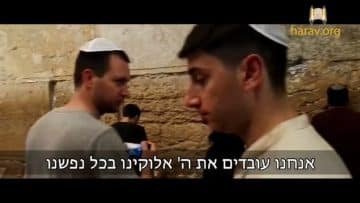פרטי: [ID: ldU3dbjTfdI] Youtube Automatic