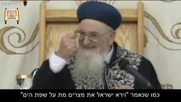 פרטי: [ID: qnym8eEKInI] Youtube Automatic