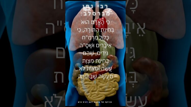 כִּי הָאָדָם הוּא בְּחִינַת הַתּוֹרָה #יהדות #תורה #israel