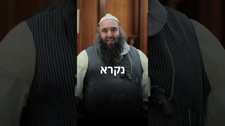 הארץ עולה באש 🔥 #יהדות #תורה #israel
