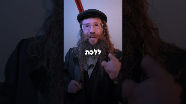 אור בהירות הדרך #יהדות #הליכה #תורה #ישראל