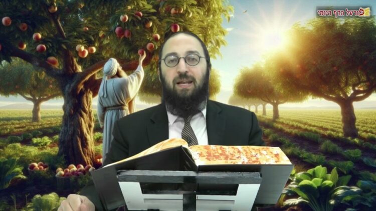 הדף היומי | מסכת בבא בתרא דף פא | הרב