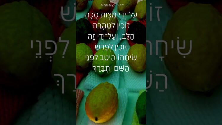 מה מקבלים בישיבה בסוכה #תורה #ישראל #יהדות