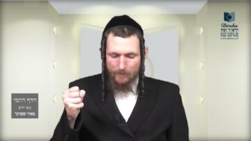 הדף היומי מסכת סנהדרין דף ז
