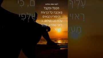 איתך מתנהגים ברחמנות #ישראל #יהדות #תורה #motivation #mindset #עולם #success