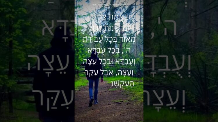 תהיה עקשן #יהדות #תורה #ישראל #motivation