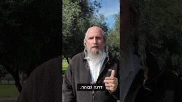 זאת המלחמה האחרונה