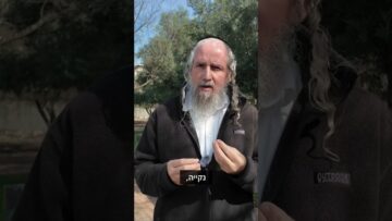כמה שווה הדרך?