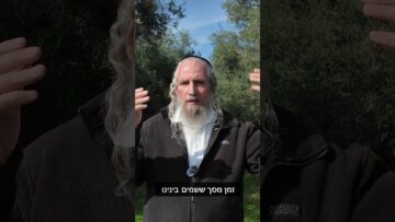 מותרות!