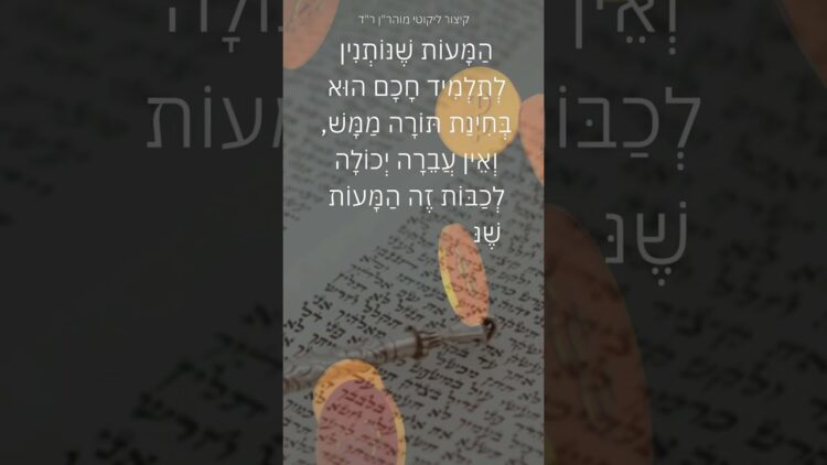 מצווה שלא נכבית לעולם - הצדקה לצדיק האמת #יהדות