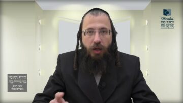 האם מותר להסיר בשבת נמלה הנמצאת על החולצה?- ש"ח ל"ו