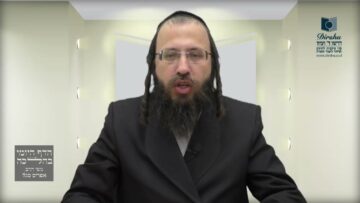 האם מותר לרסס 'קוטל חרקים' בשבת?- שט"ז ט'