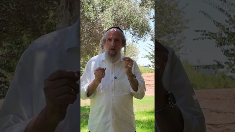 הדבר הכי יפה בעולם. שבת בירושלים.