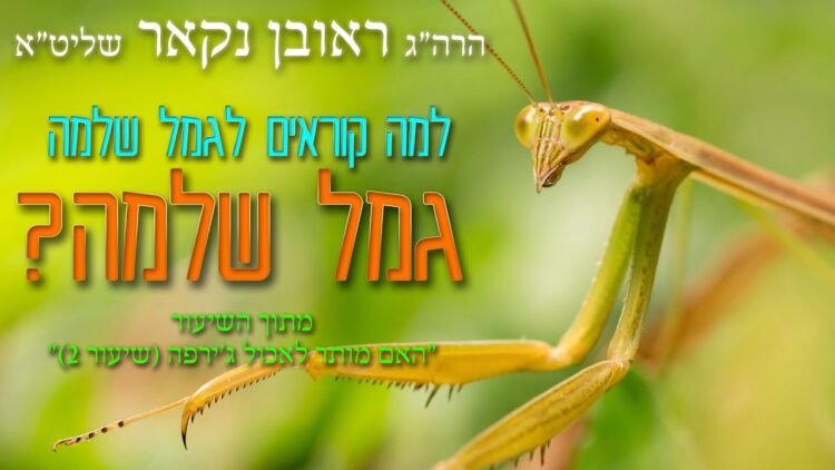 הגאון הרב ראובן נקאר שליט"א || למה קוראים לגמל שלמה