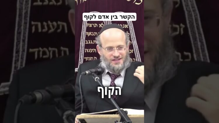הקשר בין האדם לקוף