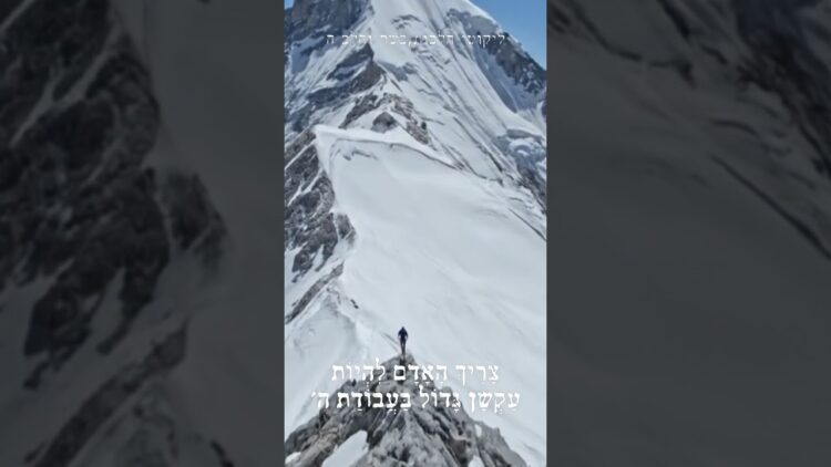 להיות עקשן בלי שום שכל